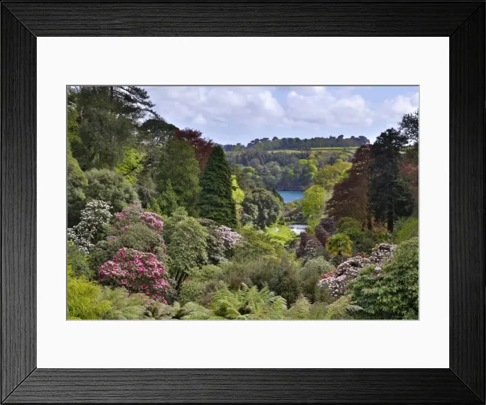 Framed Print : Picture No. 10901330 Framed Print : Picture No. 10901330