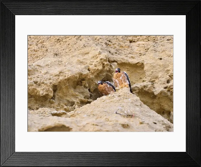 Framed Print : Picture No. 10901449 Framed Print : Picture No. 10901449