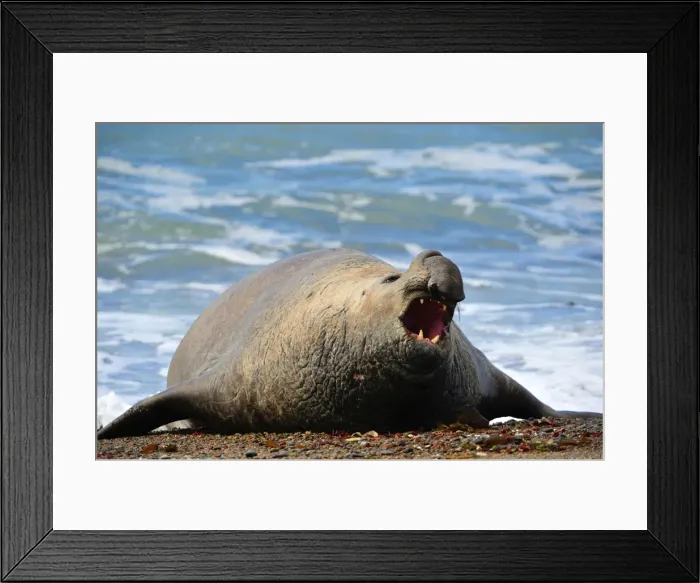 Framed Print : Picture No. 10901507 Framed Print : Picture No. 10901507