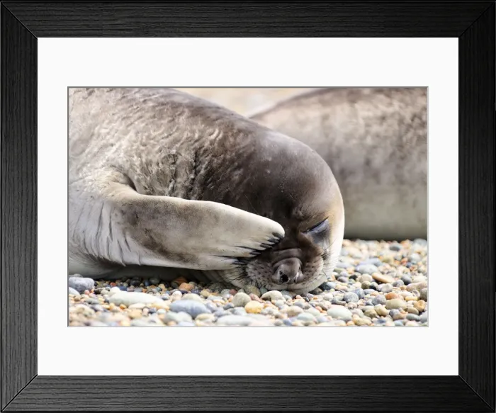 Framed Print : Picture No. 10901516 Framed Print : Picture No. 10901516