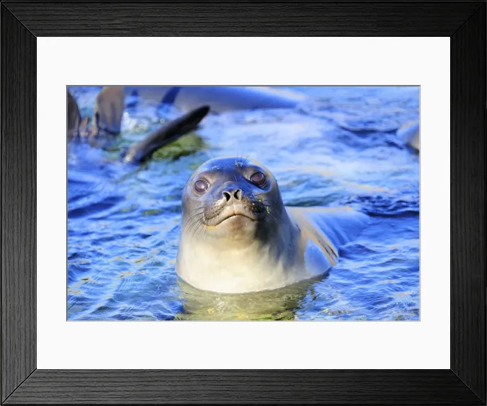 Framed Print : Picture No. 10901519 Framed Print : Picture No. 10901519