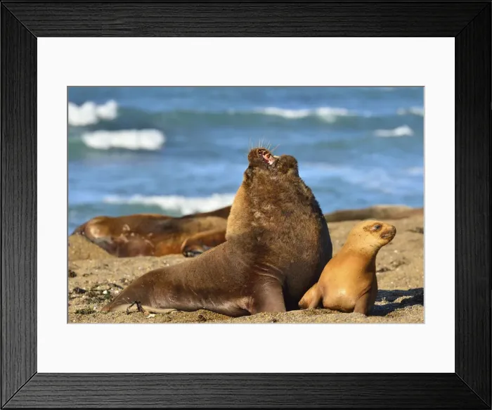 Framed Print : Picture No. 10901532 Framed Print : Picture No. 10901532