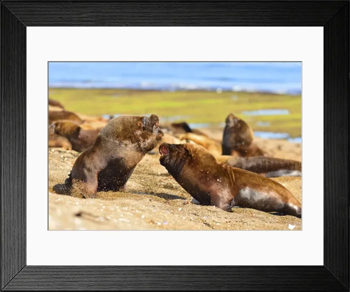 Framed Print : Picture No. 10901541 Framed Print : Picture No. 10901541