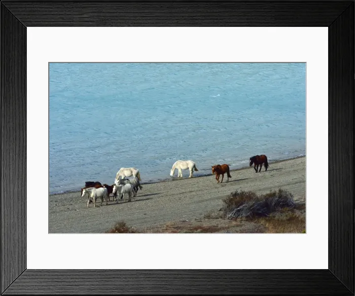 Framed Print : Picture No. 10901566