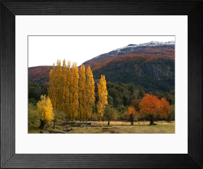 Framed Print : Picture No. 10901564 Framed Print : Picture No. 10901564