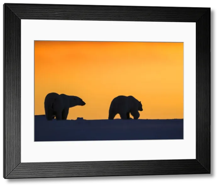 Framed Print : Picture No. 10901651