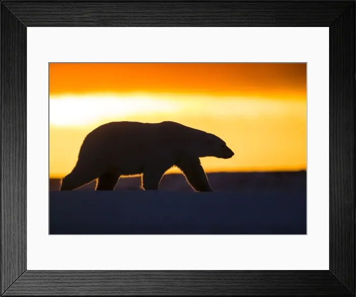 Framed Print : Picture No. 10901652 Framed Print : Picture No. 10901652