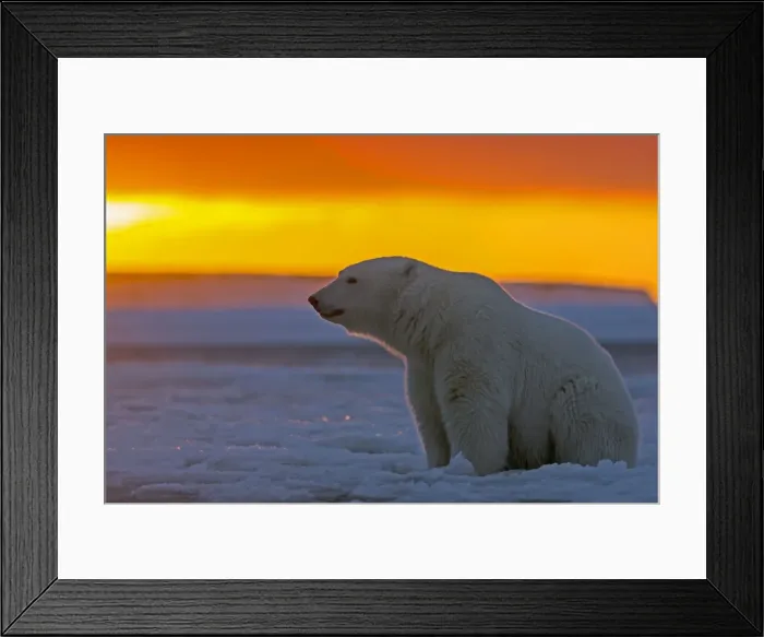 Framed Print : Picture No. 10901653 Framed Print : Picture No. 10901653