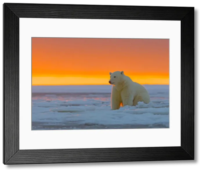 Framed Print : Picture No. 10901655 Framed Print : Picture No. 10901655
