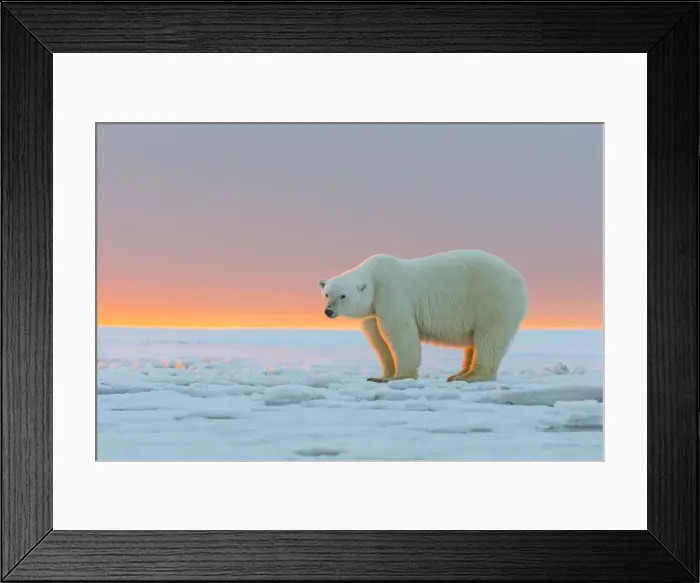 Framed Print : Picture No. 10901656 Framed Print : Picture No. 10901656