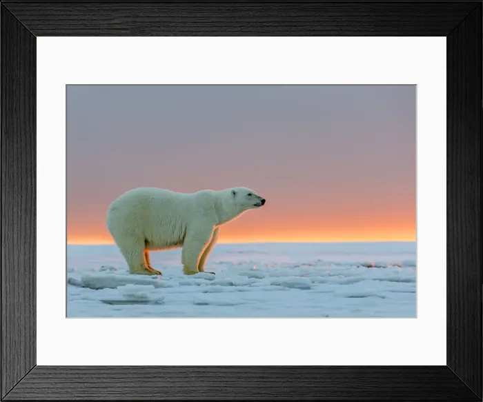 Framed Print : Picture No. 10901654 Framed Print : Picture No. 10901654