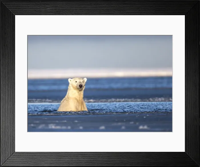 Framed Print : Picture No. 10901646 Framed Print : Picture No. 10901646