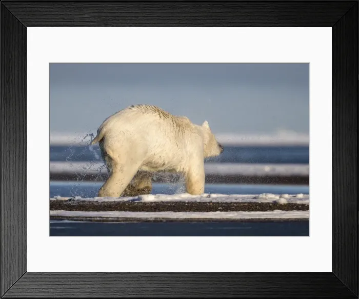 Framed Print : Picture No. 10901645 Framed Print : Picture No. 10901645