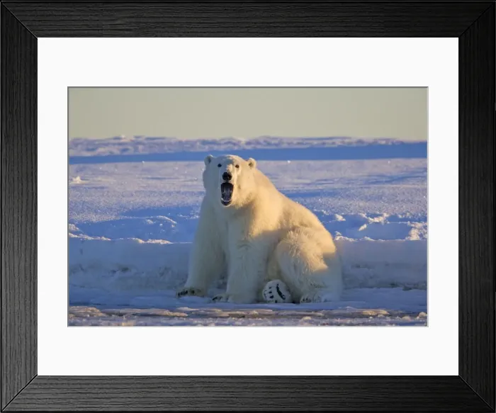 Framed Print : Picture No. 10901670 Framed Print : Picture No. 10901670