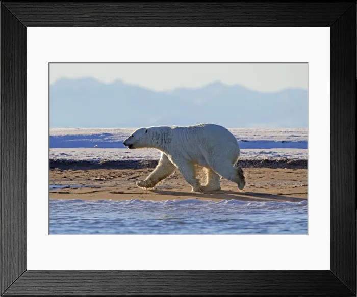 Framed Print : Picture No. 10901672 Framed Print : Picture No. 10901672
