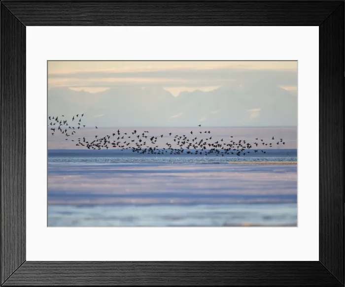 Framed Print : Picture No. 10901682 Framed Print : Picture No. 10901682