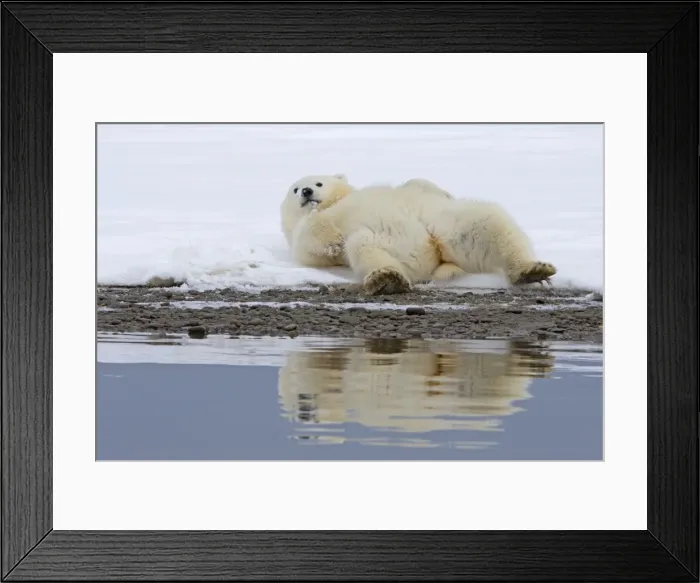 Framed Print : Picture No. 10901693 Framed Print : Picture No. 10901693