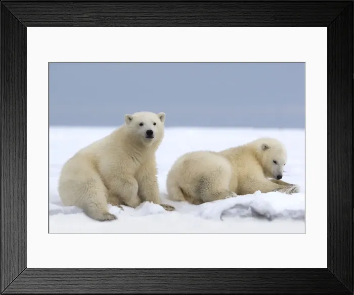 Framed Print : Picture No. 10901697 Framed Print : Picture No. 10901697