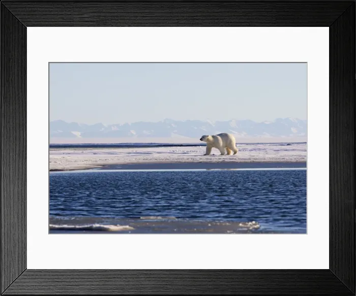 Framed Print : Picture No. 10901705 Framed Print : Picture No. 10901705