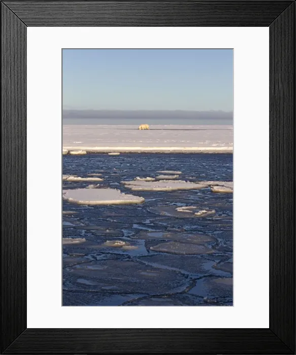 Framed Print : Picture No. 10901706 Framed Print : Picture No. 10901706