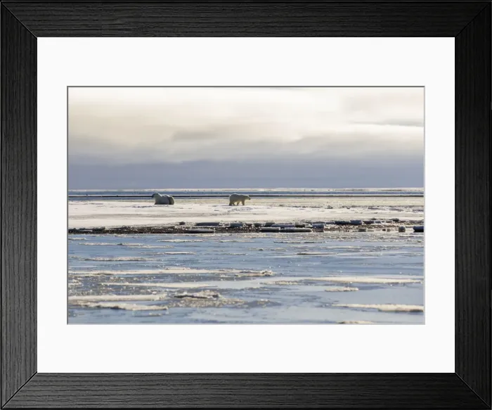 Framed Print : Picture No. 10901714