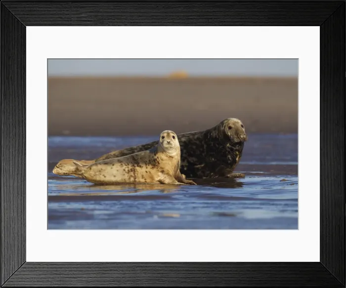 Framed Print : Picture No. 10901781 Framed Print : Picture No. 10901781