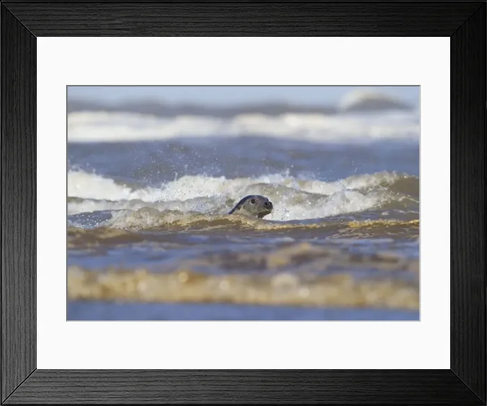 Framed Print : Picture No. 10901796 Framed Print : Picture No. 10901796