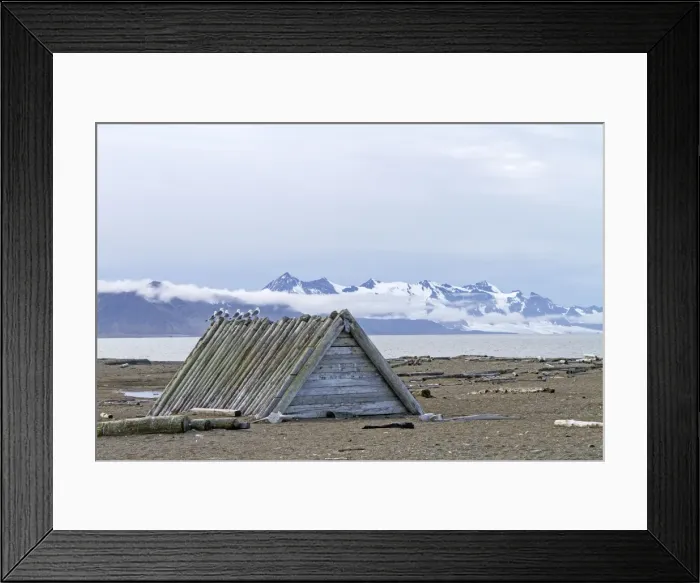Framed Print : Picture No. 10901820 Framed Print : Picture No. 10901820