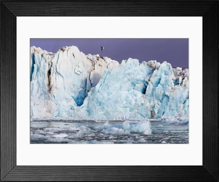 Framed Print : Picture No. 10901848 Framed Print : Picture No. 10901848
