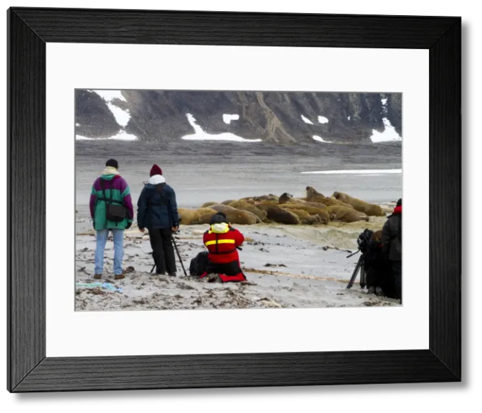 Framed Print : Picture No. 10901863 Framed Print : Picture No. 10901863