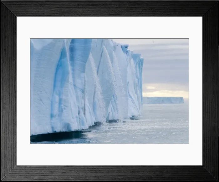 Framed Print : Picture No. 10901883 Framed Print : Picture No. 10901883