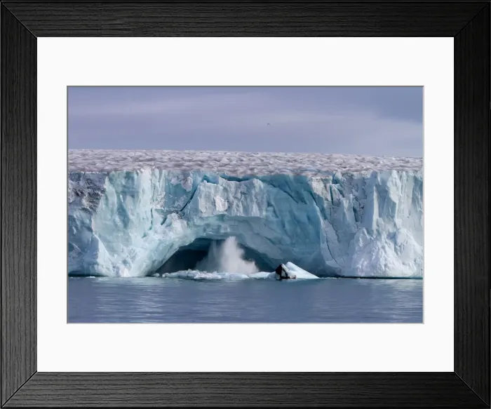 Framed Print : Picture No. 10901890