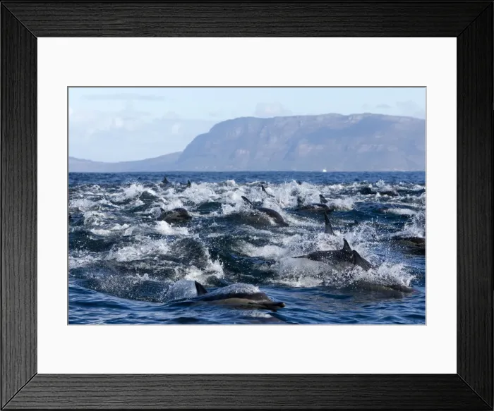 Framed Print : Picture No. 10901913 Framed Print : Picture No. 10901913