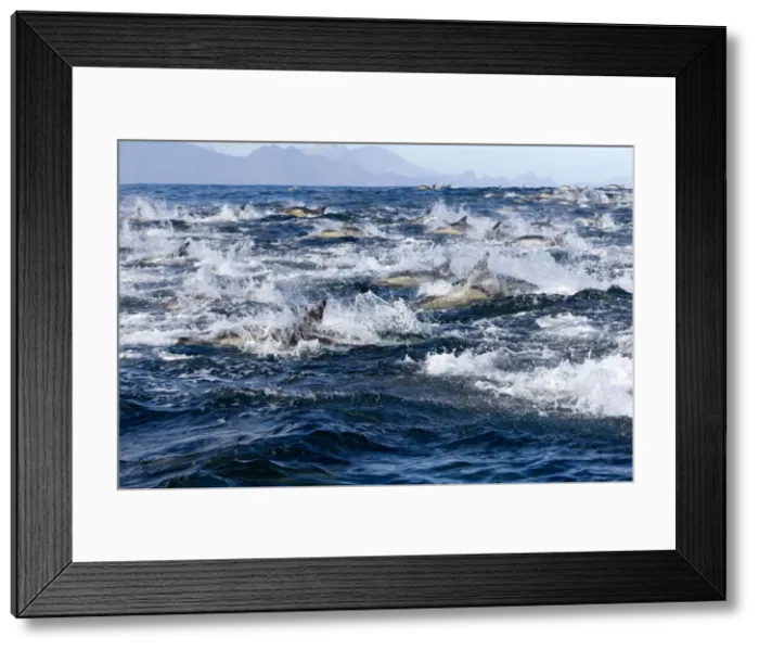 Framed Print : Picture No. 10901915 Framed Print : Picture No. 10901915