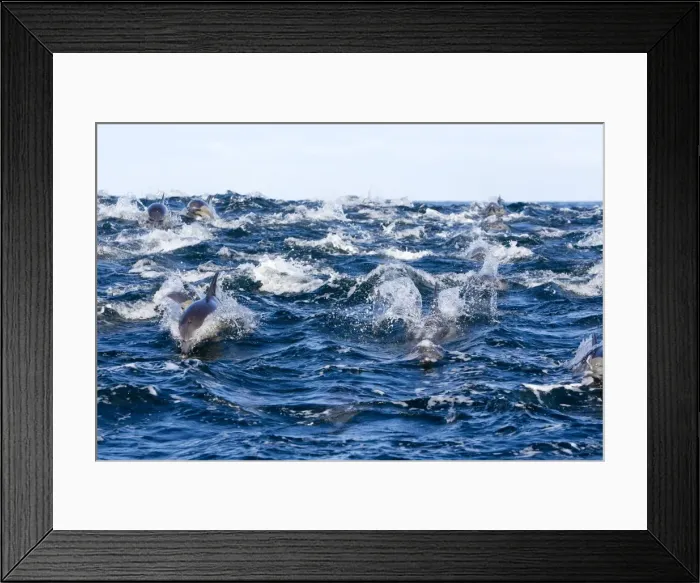 Framed Print : Picture No. 10901916 Framed Print : Picture No. 10901916