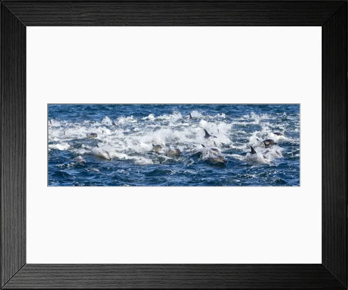 Framed Print : Picture No. 10901917 Framed Print : Picture No. 10901917