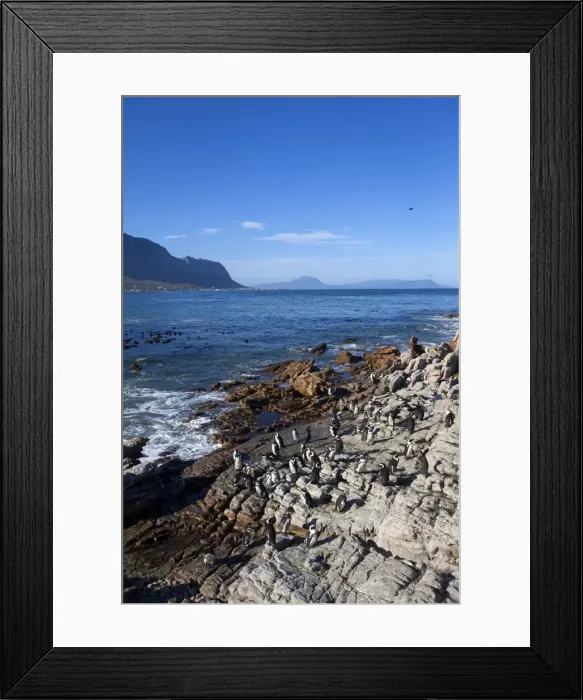 Framed Print : Picture No. 10901926 Framed Print : Picture No. 10901926