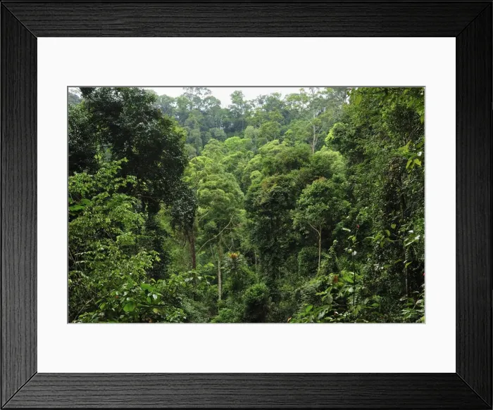 Framed Print : Picture No. 10909351 Framed Print : Picture No. 10909351