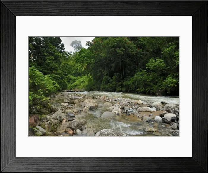 Framed Print : Picture No. 10909356 Framed Print : Picture No. 10909356