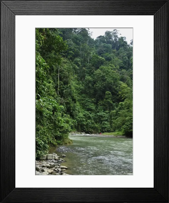 Framed Print : Picture No. 10909354 Framed Print : Picture No. 10909354
