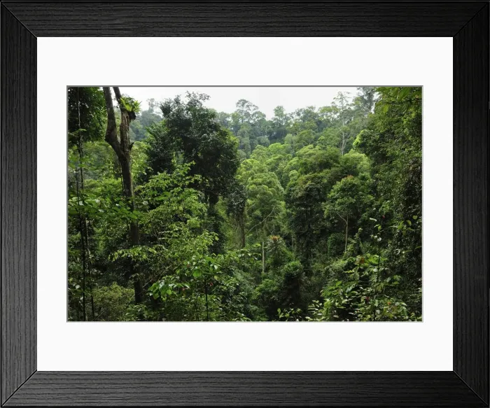 Framed Print : Picture No. 10909350 Framed Print : Picture No. 10909350