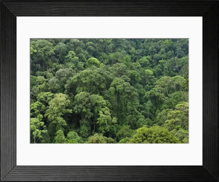 Framed Print : Picture No. 10909353 Framed Print : Picture No. 10909353