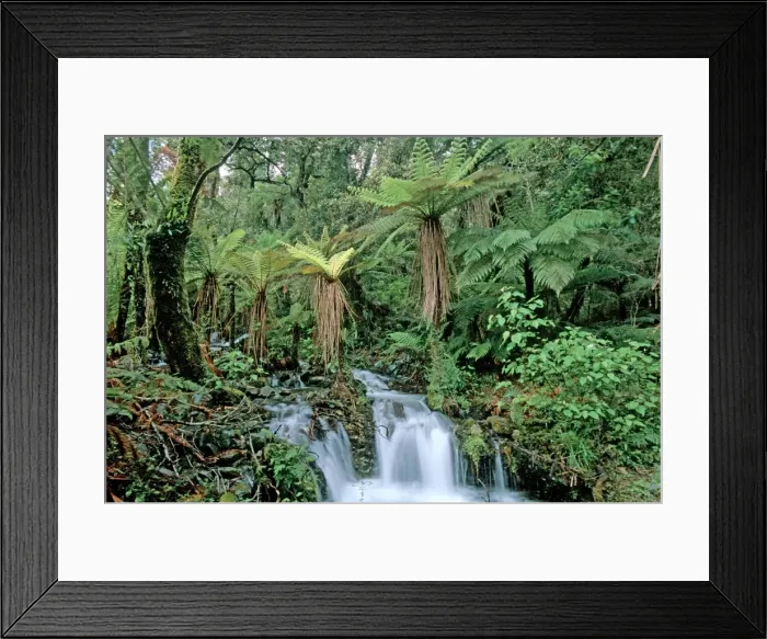 Framed Print : Picture No. 10909387 Framed Print : Picture No. 10909387