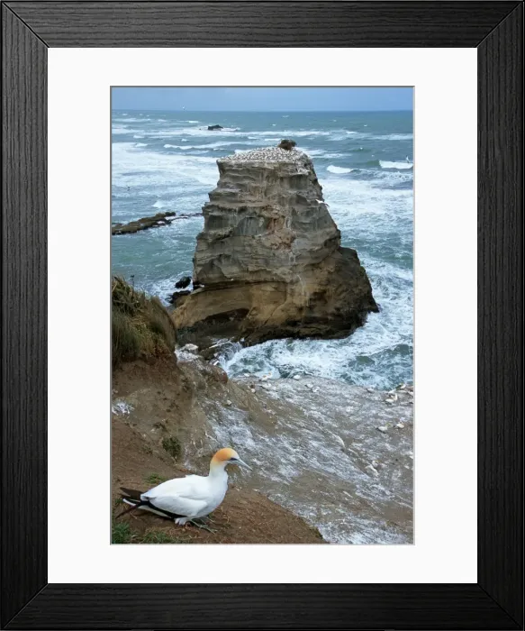 Framed Print : Picture No. 10909397 Framed Print : Picture No. 10909397