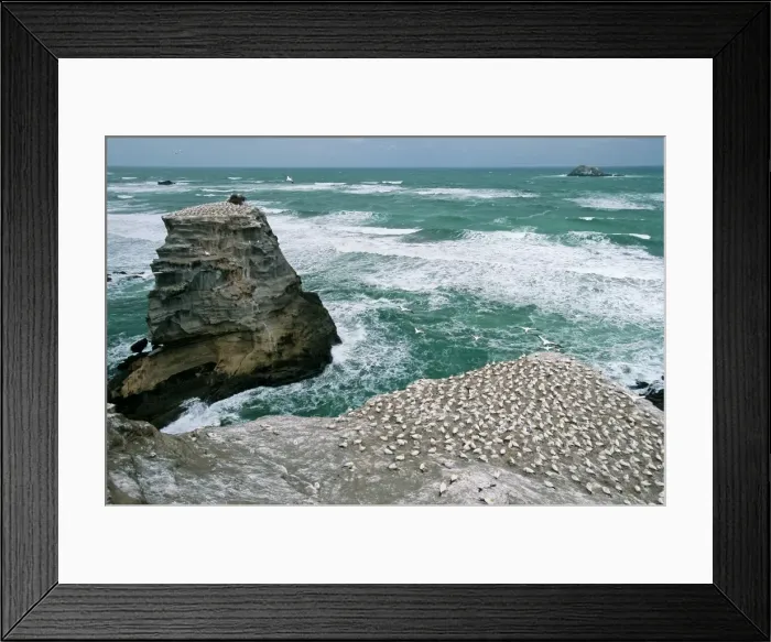 Framed Print : Picture No. 10909398 Framed Print : Picture No. 10909398