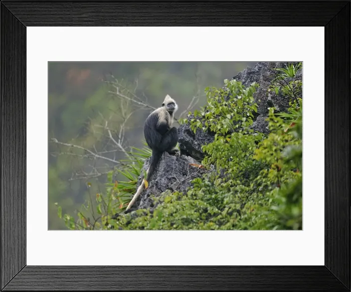 Framed Print : Picture No. 10909609 Framed Print : Picture No. 10909609