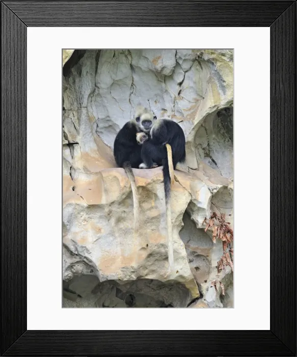 Framed Print : Picture No. 10909613 Framed Print : Picture No. 10909613