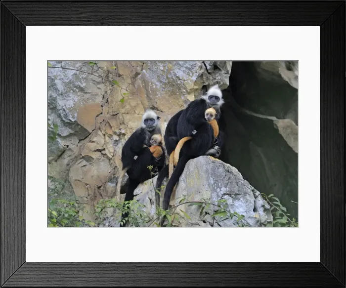 Framed Print : Picture No. 10909611 Framed Print : Picture No. 10909611