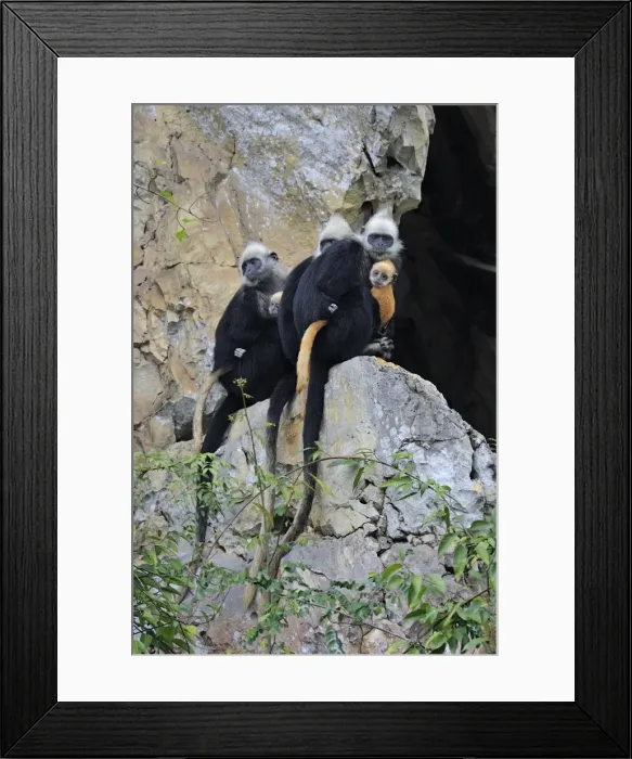 Framed Print : Picture No. 10909612 Framed Print : Picture No. 10909612