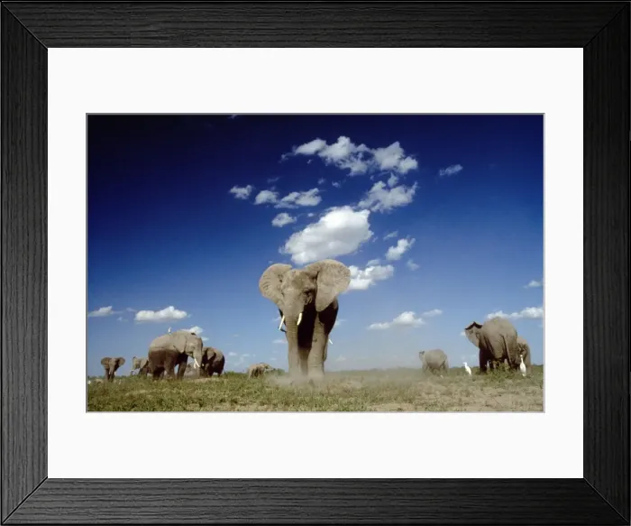 Framed Print : Picture No. 10921782